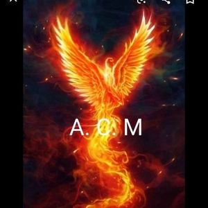 Meet your Posher, Abigail